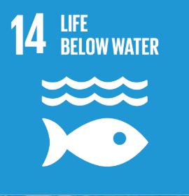 SDG 7: Affordable Energy