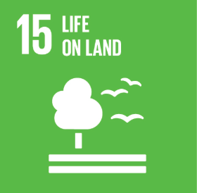 SDG 8: Decent Work